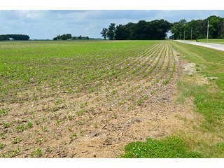 Property photo 119 - LAND AUCTION - 700+/- ACRES OFFERED IN 16 TRACTS IN ALLEN COUNTY, INDIANA